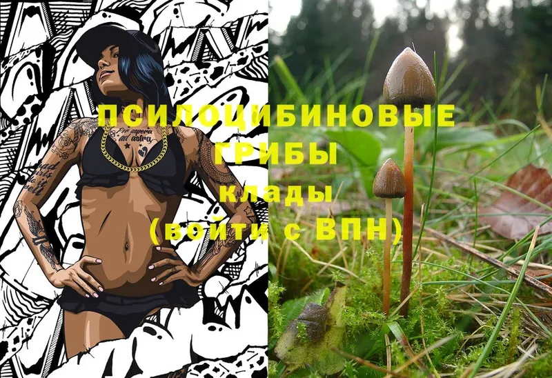 Галлюциногенные грибы MAGIC MUSHROOMS  купить наркоту  Карабаш 